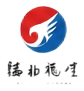 Partner airline