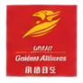 Partner airline